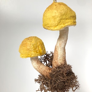 Spun cotton mushroom