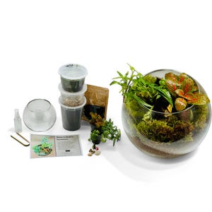 DIY Terrarium Kit with Live Plants & Moss | Complete Glass Terrarium Set with Tools, Soil, Gravel, Decor | Fun Indoor Plant Gift