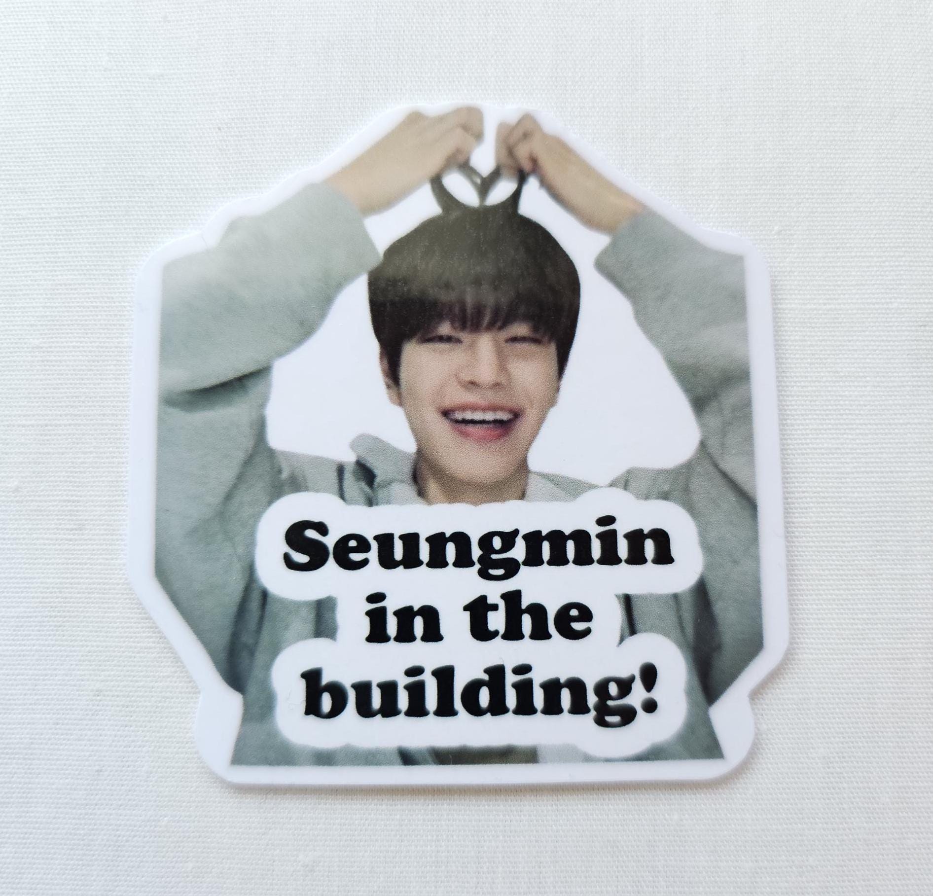 Stray Kids Seungmin 'seungmin in the Building' - Etsy