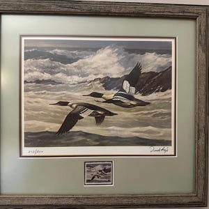 Może przedstawiać: Oprawiony wydruk obrazu przedstawiającego dwa kaczki morskie lecące nad burzliwym morzem. Wydruk jest podpisany "Donald  Aig" i ponumerowany "2/5/100". Mały znaczek pocztowy znajduje się w prawym dolnym rogu.