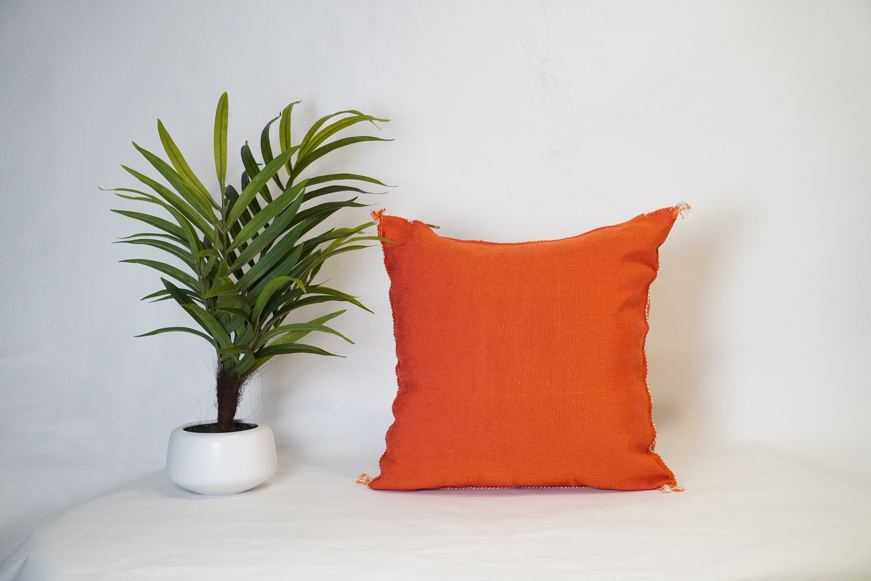 Beautiful Cactus SILK Pillow 20x20 Decorative Etsy España