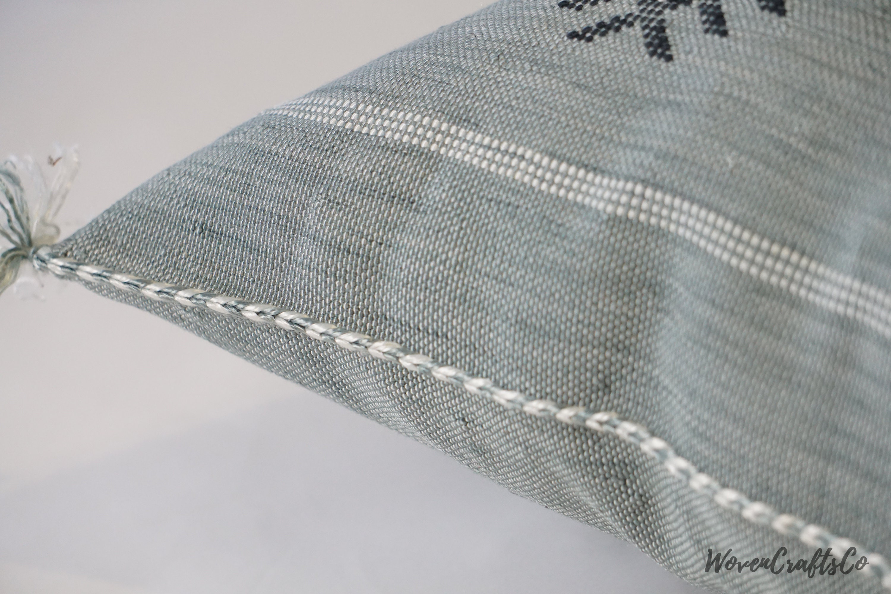 Shark Grey Pillow 20x20 Cactus Silk Pillow Decorative | Etsy