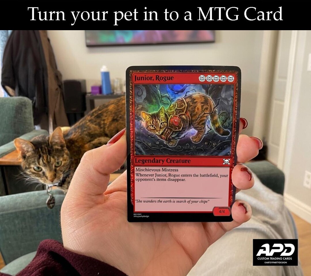 what is a pet card mtg Dralnu's [Planeshift] The Gathering Custom Pet Card, Custom TCG