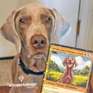 Benutzerdefinierte magische Karte, Mtg-Karte, benutzerdefinierte TKG-Karte, Mtg Haustierkarten, Mtg-Jubiläumskarte, magische benutzerdefinierte Karten, Proxy-TCG