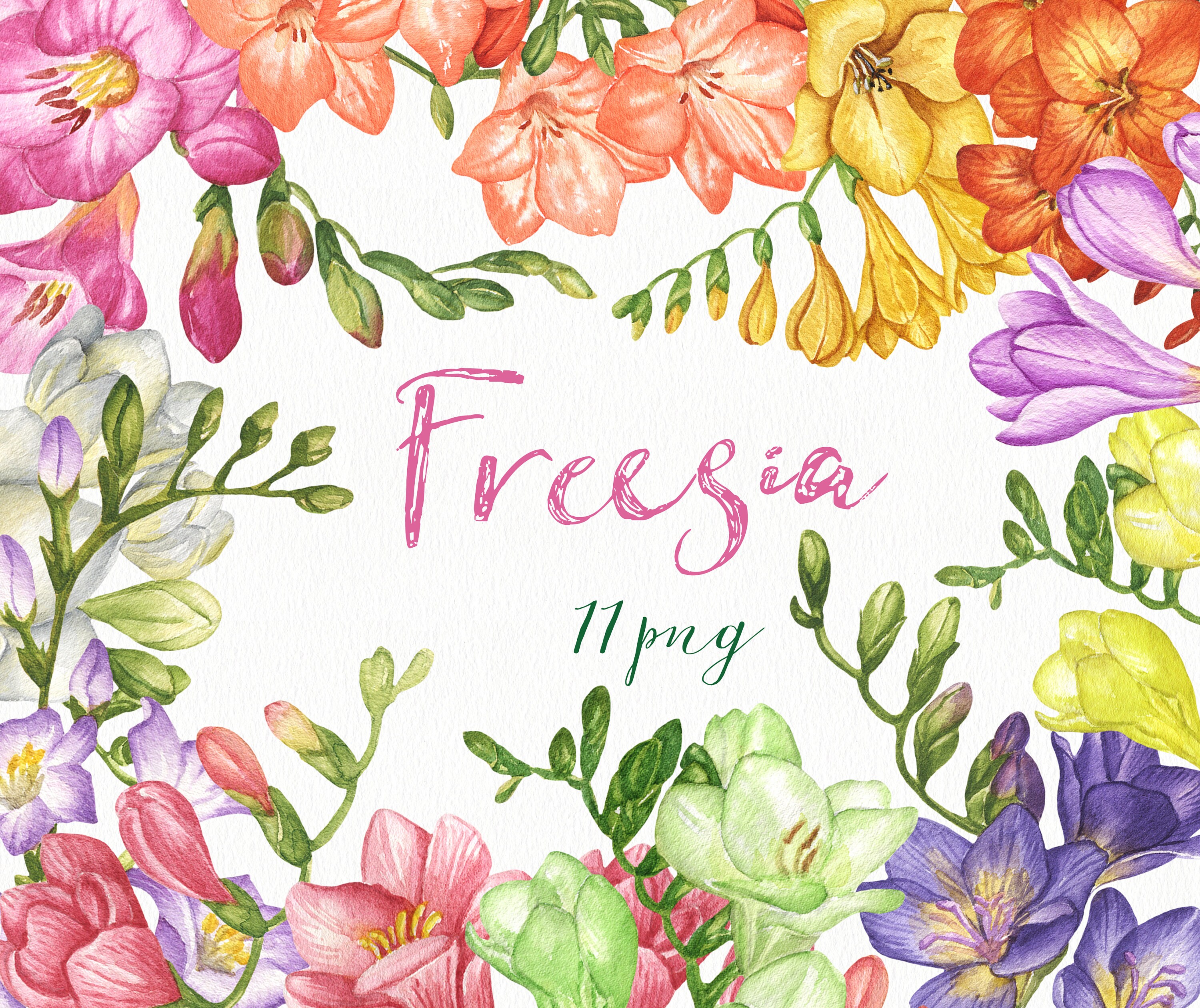 Watercolor Freesia Flower Clipart. Flower Wreath Clipart. | Etsy