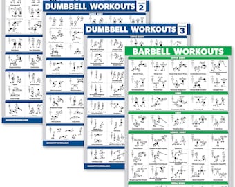 4 Pack - Dumbbell Workout Posters Volume 1, 2 & 3 + Barbell Exercise Chart - Set of 4 Posters (LAMINATED, 18" x 24")