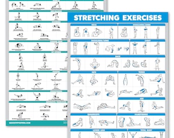 2 Pack - Yoga Block Poses & Stretching Exercise Posters (18 x 24, Laminated) - Fitness Charts featuring yoga positions with blocks.
