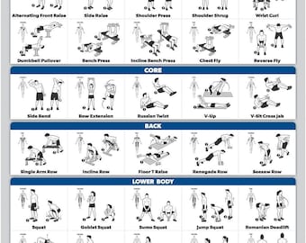 Palace Learning Dumbbell Workout Poster - Free Weight Body Building Guide,  Home Gym Chart - Laminated with Plastic Frame, 18" x 24"