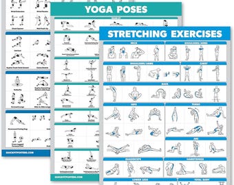 Palace Learning 3-Pack Workout Charts - Warm-Up Exercises, Stretching, & Yoga Workouts (Laminated, 18"x24")
