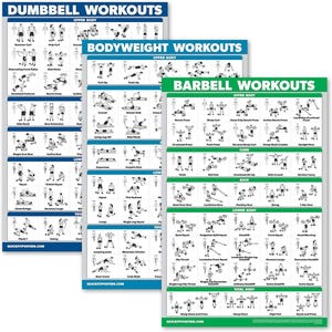 May include: A set of three workout posters featuring dumbbell, bodyweight, and barbell exercises. Each poster is divided into sections for upper body, lower body, core, back, and total body exercises. The posters are printed on white paper with black illustrations and blue, green, and white text.