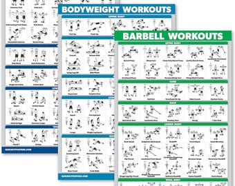 Palace Learning QuickFit 3-Pack Workout Charts - Dumbbell, Bodyweight & Barbell Exercises (Laminated, 18"x27")