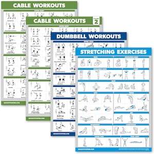 May include: A set of four workout posters featuring illustrations of exercises using cables, dumbbells, and stretching techniques. The posters are colorfully designed with blue, green, and white backgrounds. The posters are titled "Cable Workouts", "Cable Workouts", "Dumbbell Workouts", and "Stretching Exercises".