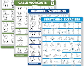 4 Pack - Cable Machine Workout Posters Volume 1 & 2 + Dumbbell Exercises + Stretching Exercises (LAMINATED, 18" x 24")