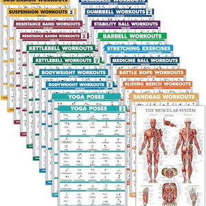 May include: Set of 16 colorful workout posters featuring various exercises, including suspension, dumbbell, resistance band, stability ball, barbell, kettlebell, stretching, medicine ball, bodyweight, battle rope, sliding bench, yoga poses, sandbag, and a poster illustrating the muscular system.