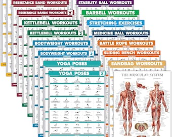 20 Pack - Exercise Posters: Dumbbell, Suspension, Battle Rope, Bodyweight, Yoga, Kettlebell, and more (Laminated, 18" x 24").