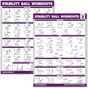 May include: A two-part poster with a purple background and white text. The poster shows a variety of exercises that can be done using a stability ball. The poster is titled "Stability Ball Workouts" and is divided into sections for upper body, core, back, lower body, and total body. The poster also includes a volume number, "2".