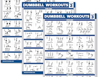 Palace Learning 3 Pack - Dumbbell Workout Posters for Home Gym - Volume 1, 2 & 3 - Exercise Charts (Laminated, 18" x 24")