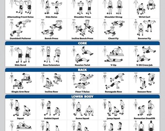 thumbnail image 2 of Palace Learning 3 Pack, Dumbbell Workouts Posters Volume 1 & 2 Barbell Exercises - Set Of 3 Workout Charts (LAMINATED, 18" X 24 2 of 13