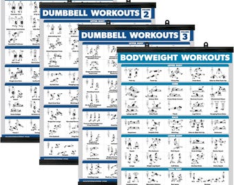 Palace Learning 4-Pack - Dumbbell Workout Posters Vol. 1, 2 & 3 + Bodyweight Exercise Chart (Laminated with Frame, 18"x24")