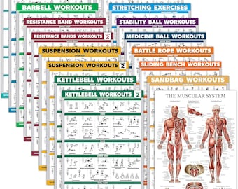 Paquet de 18 - Posters d'exercices : haltère, suspension, kettlebell, bandes de résistance, yoga et plus (plastifié, 18 x 24 po.).