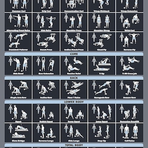 Póster de ejercicios con mancuernas de Palace Learning [oscuro] (LAMINADO, 18" x 24")