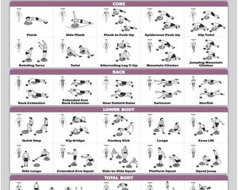 Half Balance Ball Workout Poster - Exercise Chart (LAMINATED with  PLASTIC FRAME, 18" x 24")