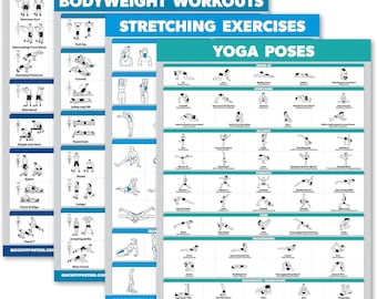 Palace Learning 4-Pack Workout Charts - Dumbbell Workouts, Bodyweight, Stretching & Yoga Exercises (Laminated with Plastic Frame, 18"x24")