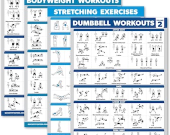 Palace Learning 4-Pack Workout Charts - Dumbbell Workouts, Bodyweight, Stretching & Dumbbell Vol. 2 (Laminated, 18"x24")