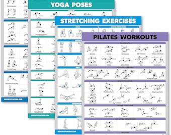 Palace Learning 4-Pack Workout Charts - Warm-Up, Yoga, Stretching & Pilates Exercises (Laminated, 18"x24")