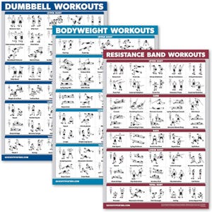 May include: Three workout posters with illustrations of different exercises. The posters are titled "Dumbbell Workouts", "Bodyweight Workouts", and "Resistance Band Workouts". Each poster is divided into sections for upper body, lower body, core, back, and total body.