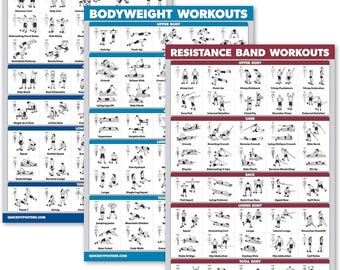 3-Pack Workout Charts - Dumbbell Workouts, Bodyweight Exercises & Resistance Bands (Laminated, 18"x24")