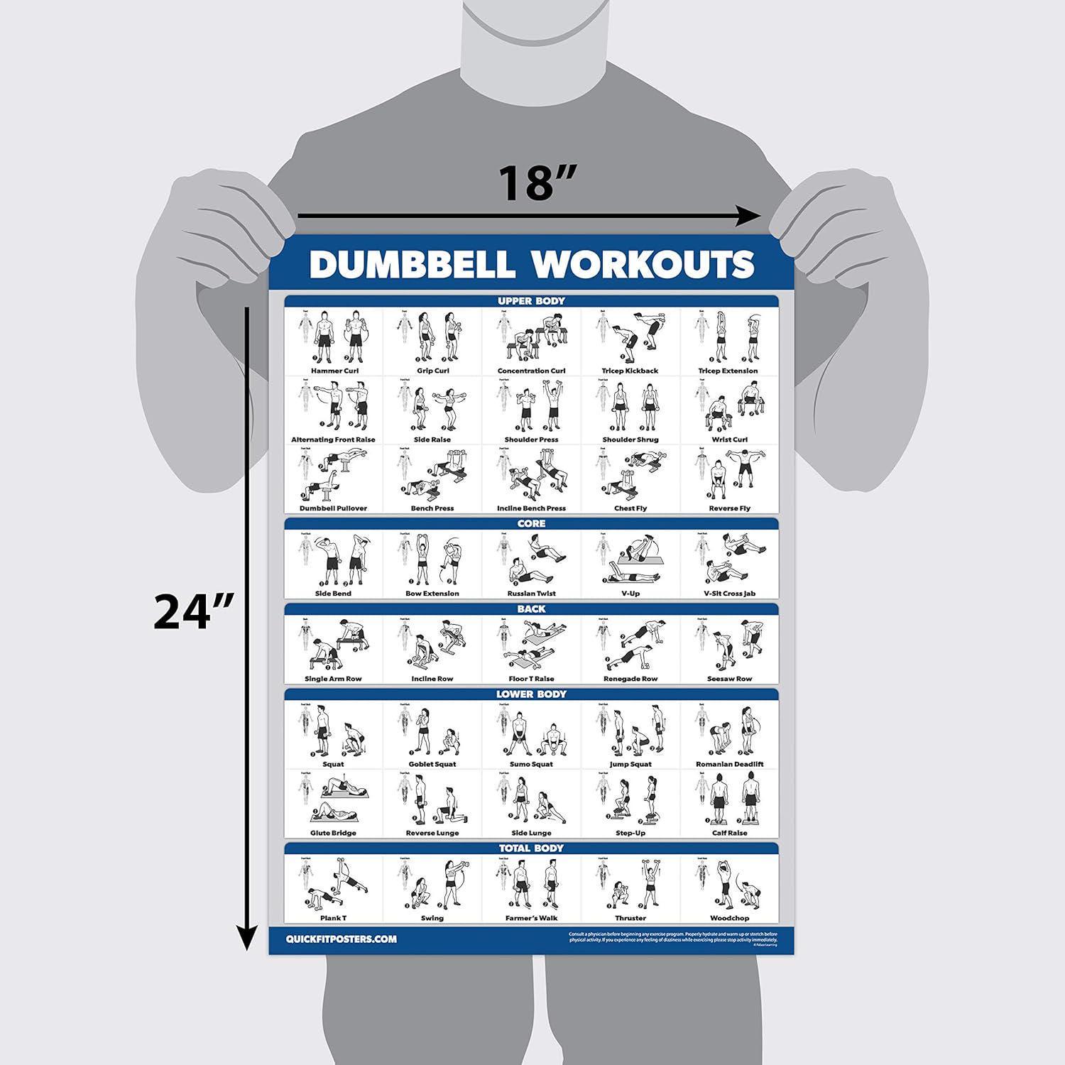 Palace Learning 3 Pack - Dumbbell Workout Posters for Home Gym