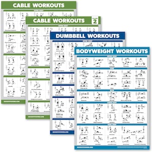 Palace Learning 4 Pack- Cable Machine Workout Posters Volume 1 & Volume 2 + Dumbbell Exercises + Bodyweight Exercises (LAMINATED, 18&quot; x 24&quot;)