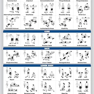 Póster de ejercicios con mancuernas de Palace Learning: guía de musculación con pesas libres/gráfico de gimnasio en casa, LAMINADO, 18" x 24"