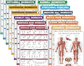 17 Pack - Exercise Posters: Dumbbell, Suspension, Kettlebell, Medicine Ball, Yoga, and more (Laminated, 18" x 24").