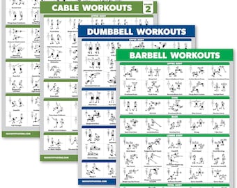 Lot de 4 - Posters d'entraînement à la machine à câble, volumes 1 et 2 + exercices d'haltères + exercices d'haltères (stratifié, 18 x 24 po.)