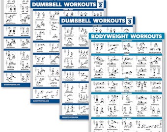 Palace Learning 4 Pack - Dumbbell Workout Posters Volume 1, 2 & 3 + Bodyweight Exercise Chart - Set of 4 Posters (LAMINATED, 18" x 24")