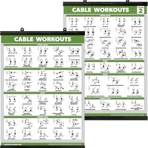 May include: Two black framed posters with green backgrounds showing different cable exercises for the upper body, core, back, and lower body. The posters are labeled "Cable Workouts" and "Volume 2".