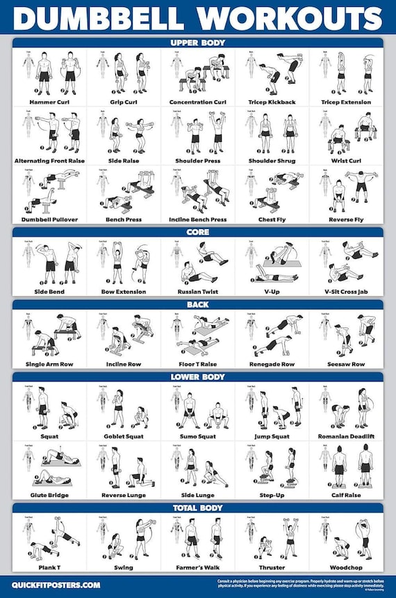 Palace Learning 3 Pack - Dumbbell Workout Posters for Home Gym