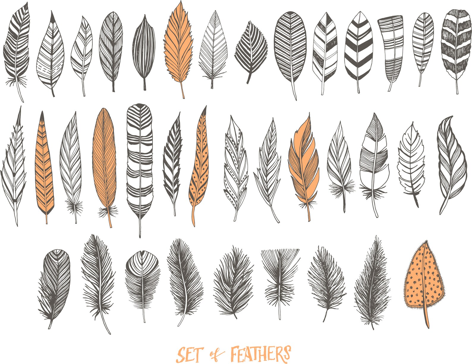 HandDrawn Decorative Feathers Svg Feathers Bundle Svg Etsy
