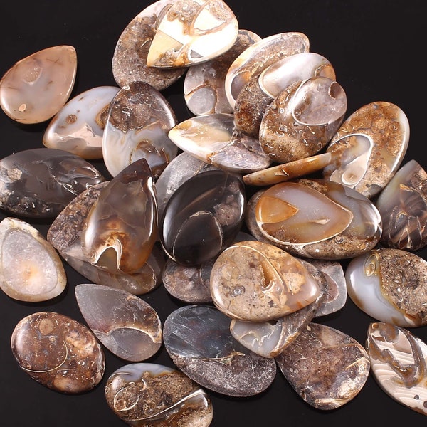 Beautiful Fossil shell Flat Cabochon lot, Natural Shunkh Fossil agate lot, Snail Druzy Gemstone Lot, Fossil Snail Druzy Agate Lot, A-276