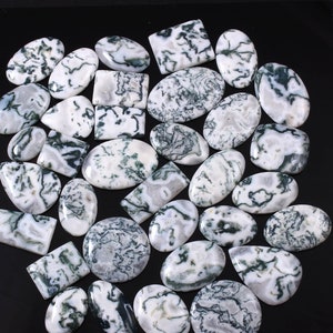 Lote de ágata de árvore natural, lote de cabochão de ágata de árvore em formato misto, lote de pedra solta de ágata de árvore de tamanho misto, lote de cabochão por atacado A-342