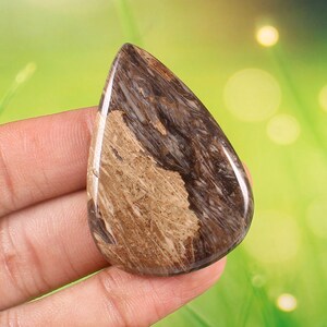 Plume impressionnante Agate cabochon, Forme de poire Fossilisé Foraminifères Cabochon Pierre précieuse en vrac 47x33x6 MM 68 Ct, Bijoux cabochon A-219