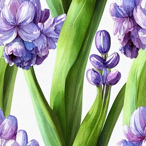 28 Inch Square Decorative Patterns for Paper & Craft Printing Garden_Hyacinth_Watercolor_Seamless_Pattern