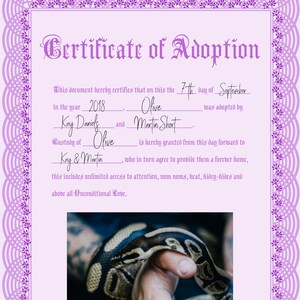 以下が含まれることがあります： 2018年7月9日付けの、オリーブという名前のヘビの養子縁組証明書。この証明書は、オリーブがケイ・ダニエルズとマーティン・ショートによって養子縁組され、彼らがオリーブに永遠の住処を提供することに同意したことを示しています。証明書には、ヘビが人の手で持たれている写真が含まれています。