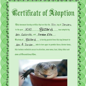 Adoptiecertificaat reptielenkoppel (groen)