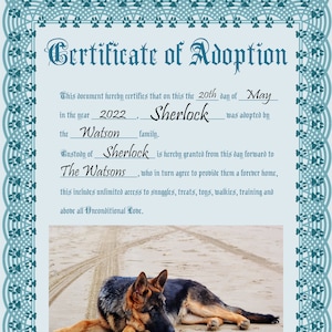 Puppy & Dog Family Adoption Certificate (Blue)