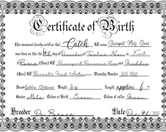 UK Breeder Birth Certificates - Black and White