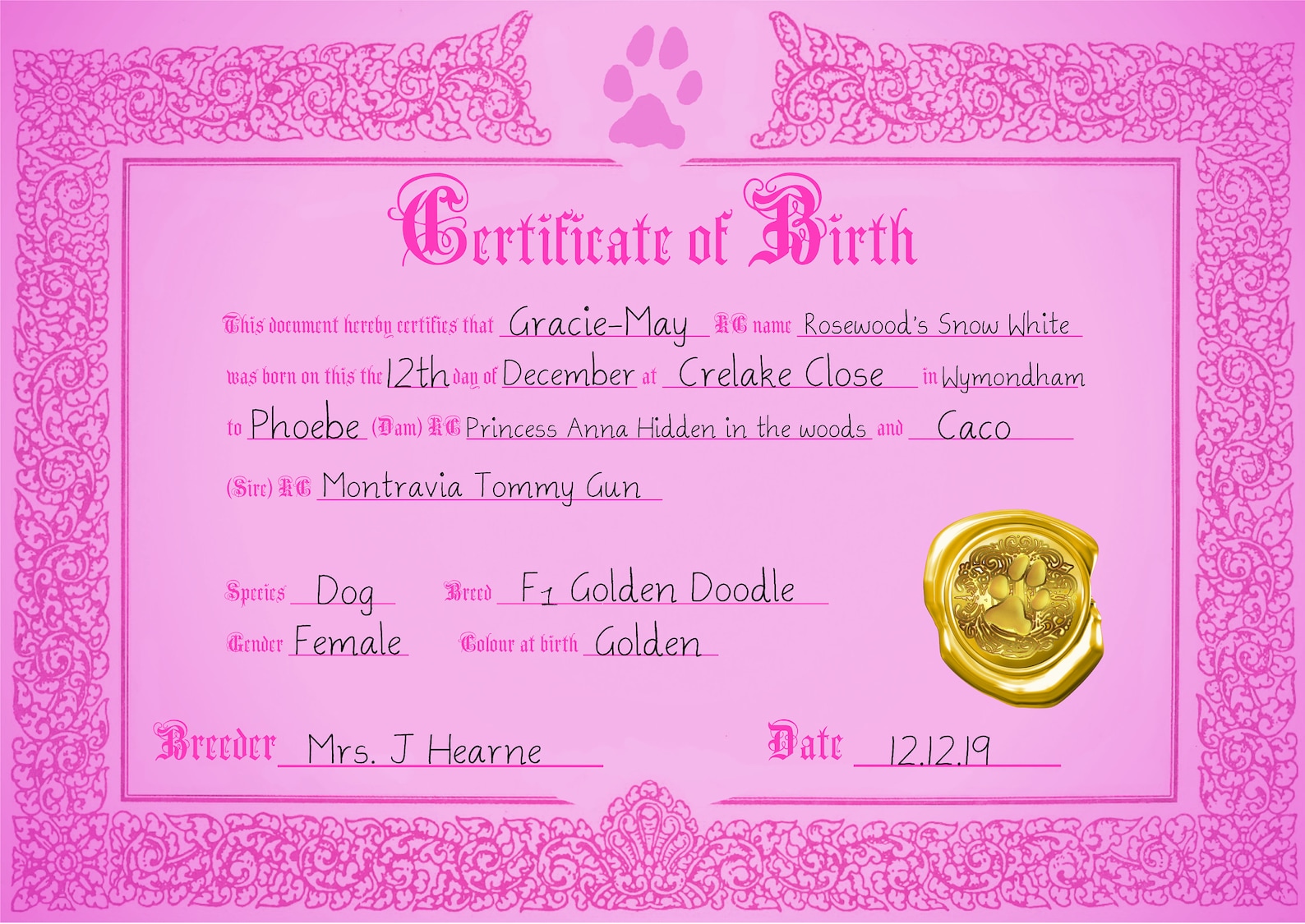 Puppy Birth Certificate New Black White Colourway Download Now Etsy