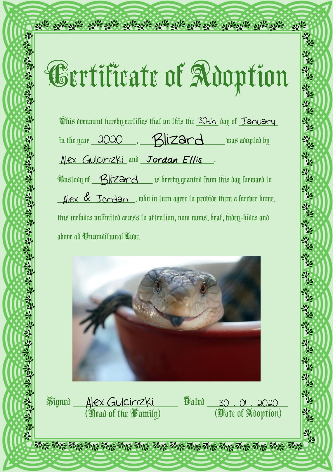 Reptile Family Adoption Certificate green - Etsy